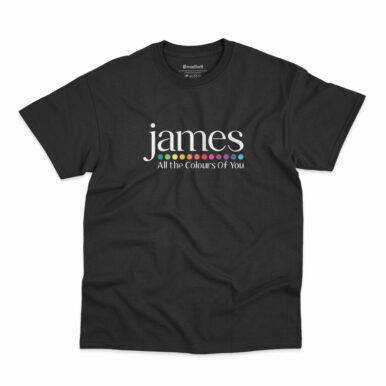 Camiseta All The Colours Of You da banda James na cor preta